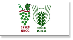 National-Research-Center-for-Grapes.png