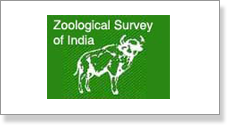 Zoological-Survey-of-India.png